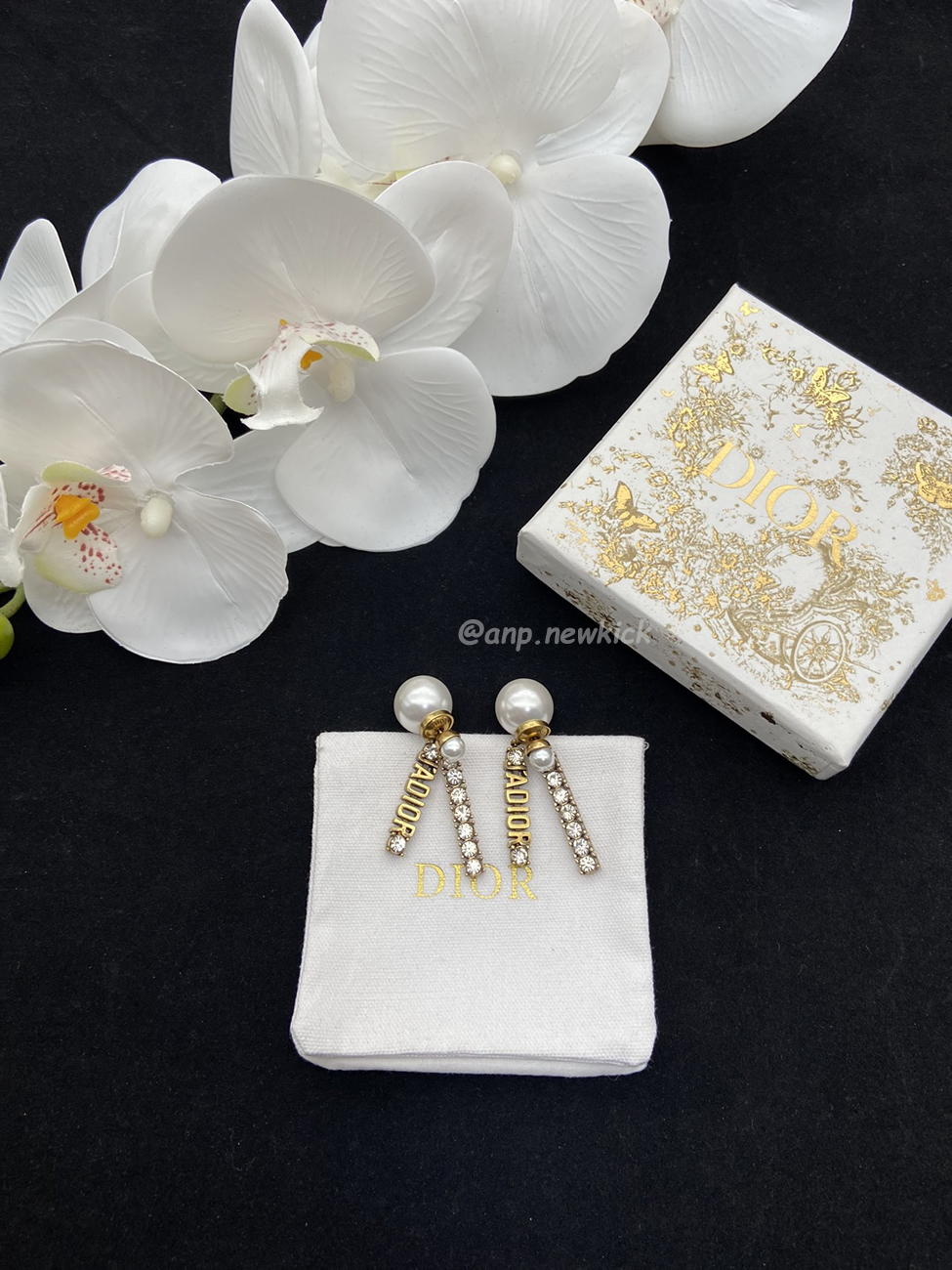 Dior Earrings (6) - www.newkick.vip